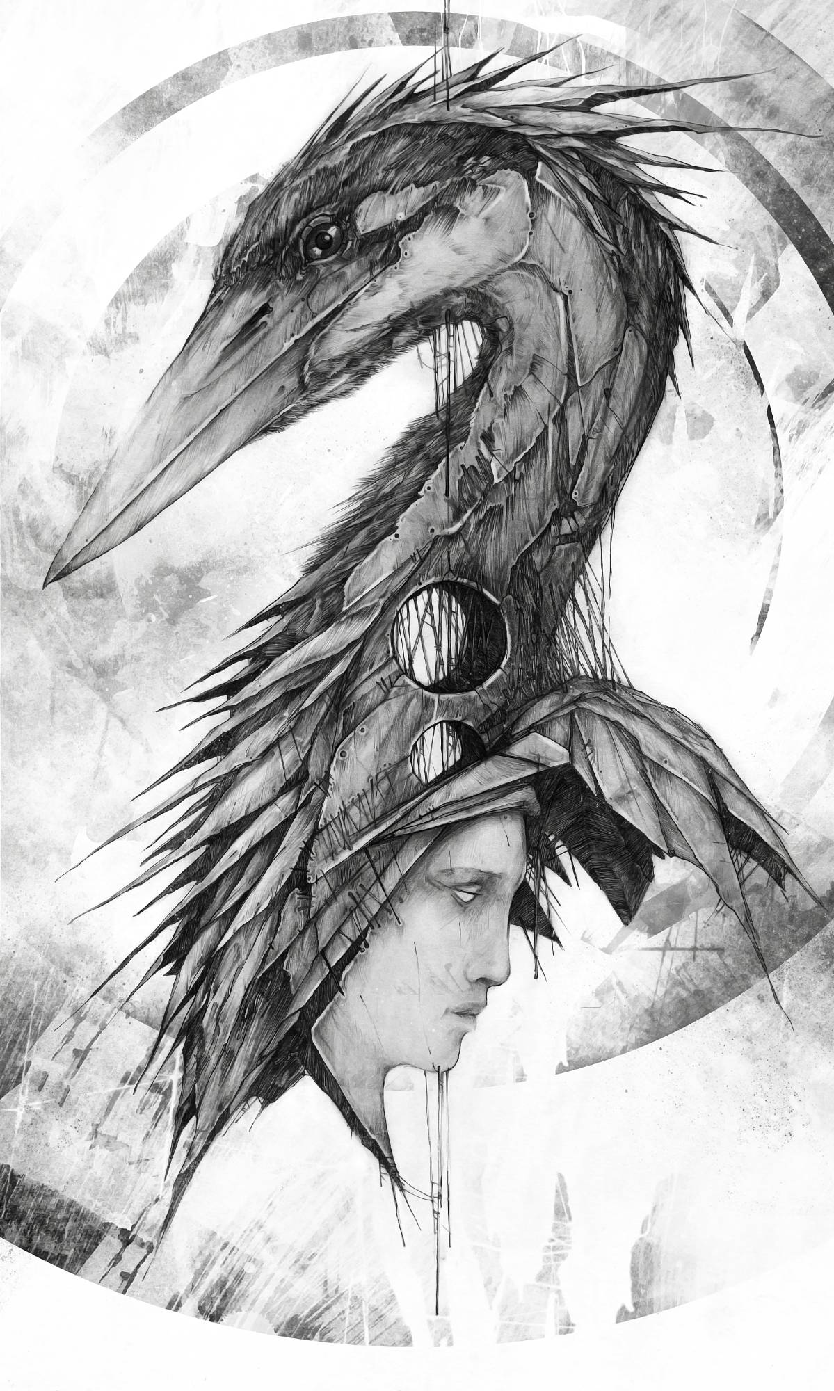 Ardaidae