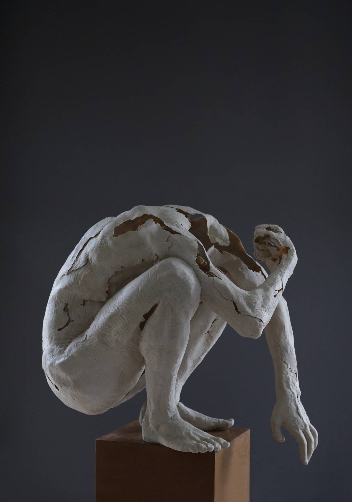 Bez tytułu - 2